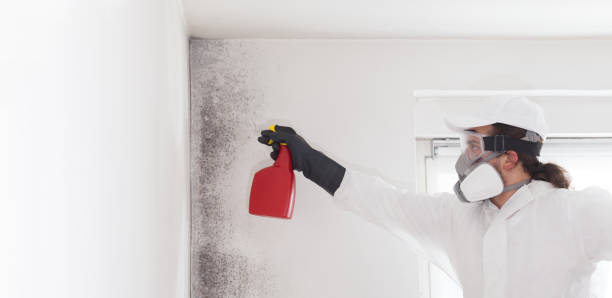 Best Mold Testing and Inspection Services in Maywood Park, OR