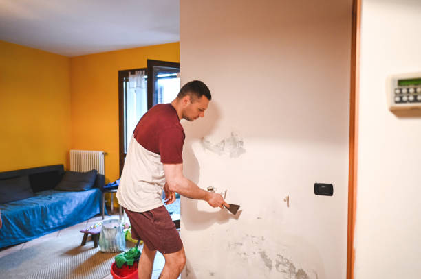 Best Post-Flood Mold Remediation in Maywood Park, OR
